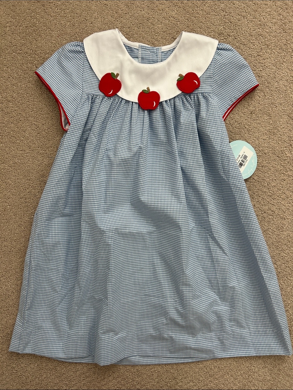 NWT Little English blue gingham Apple bib dress